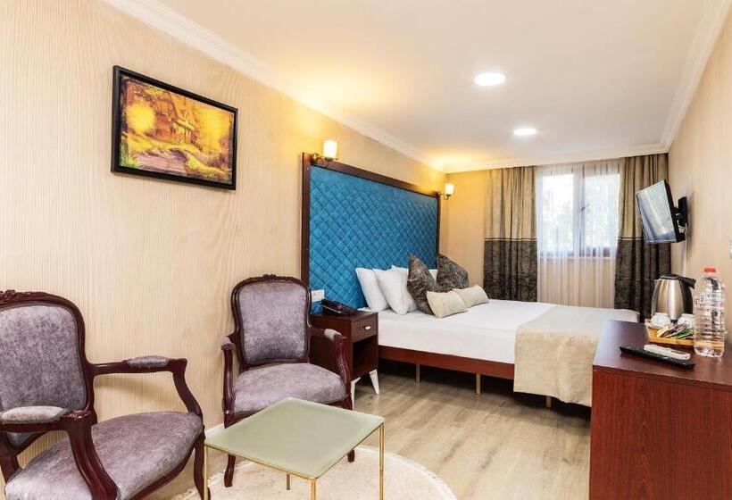 غرفة قياسية, Astro Suitess