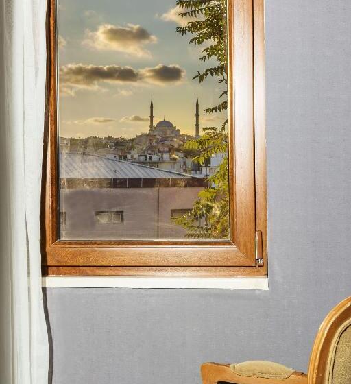 غرفة قياسية فردية, Astro Suitess