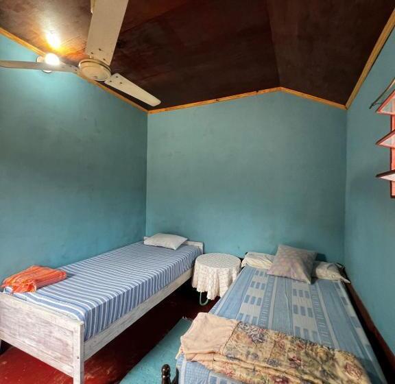 اتاق استاندارد, Hospedaje Independencia