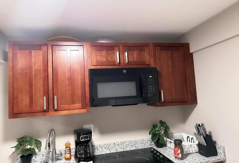 شقة غرفة واحدة, Xena Guest House