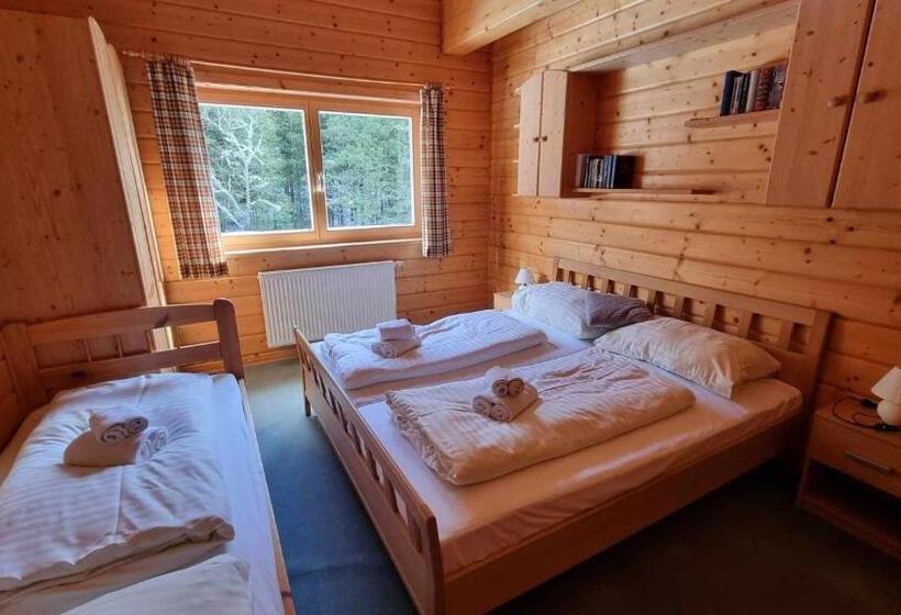 شقة غرفة واحدة, Pension Bischof Lachtal