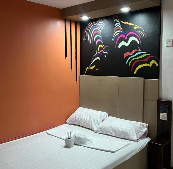 سوییت, Quinn Dormittelle