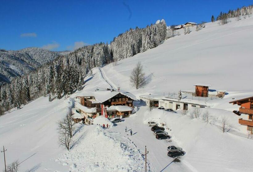 غرفة قياسية, Ferienanlage Reithof