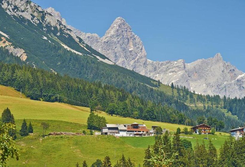 شقة غرفة واحدة, Ferienanlage Reithof