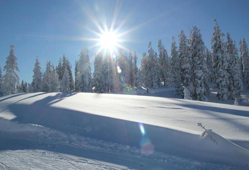 غرفة قياسية فردية, Ferienanlage Reithof