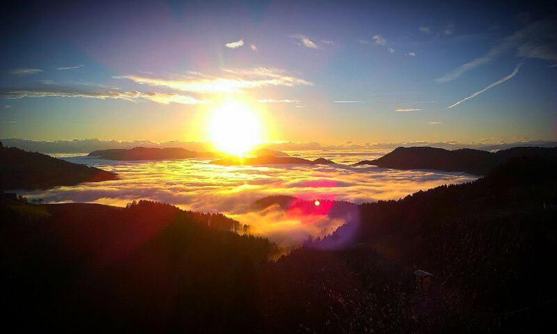 パノラミックビュースタンダードルーム, Gasthof Gutmann