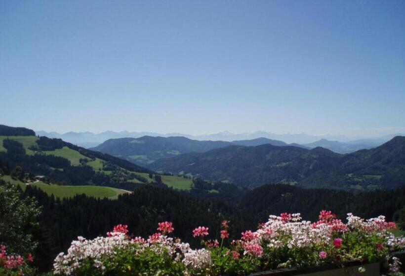 パノラミックビュースタンダードルーム, Gasthof Gutmann