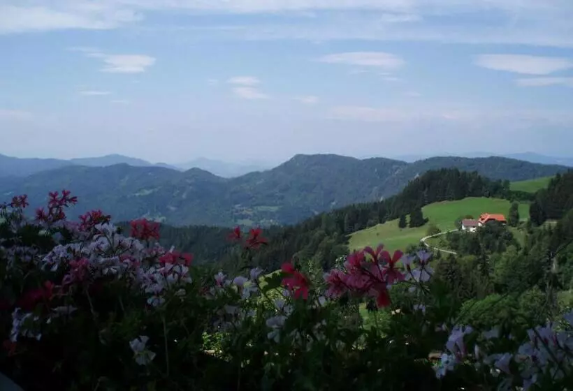 سوئیت با بالکن, Gasthof Gutmann