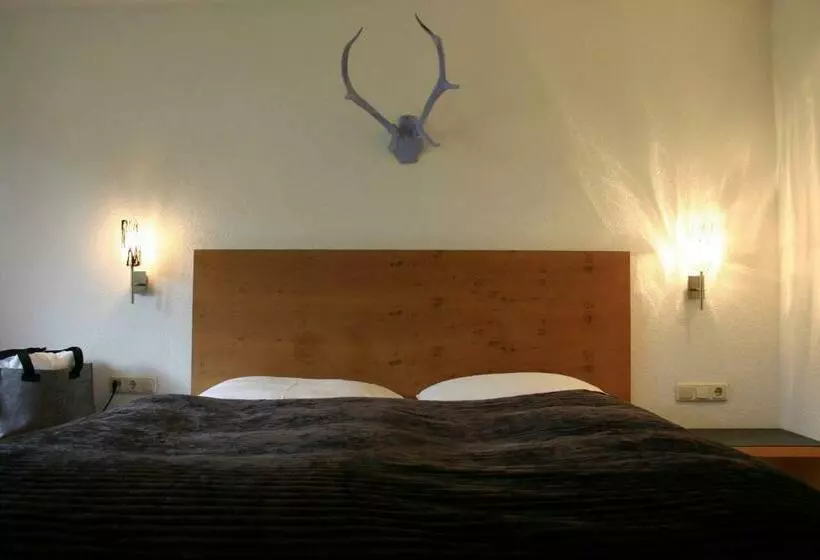 ベーシックルーム, Montafon Lodge Hotel Und Spa