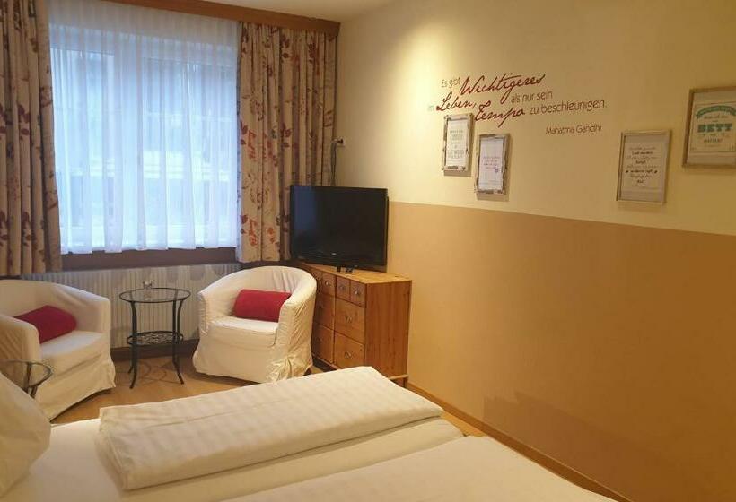 标准间, Pension Alte Mühle