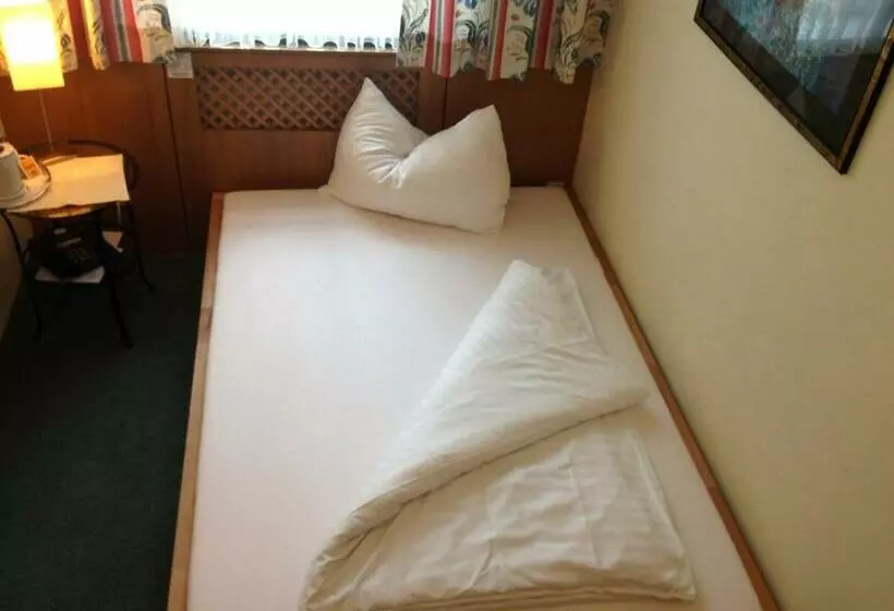 スタンダードシングルルーム, Pension Alte Mühle