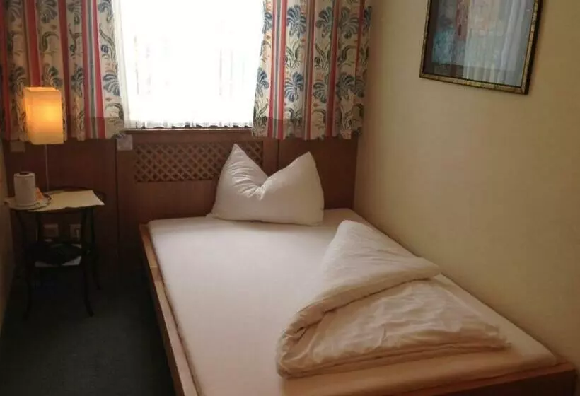 スタンダードシングルルーム, Pension Alte Mühle