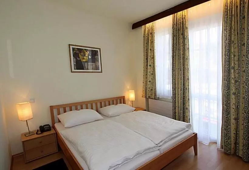 スタンダードシングルルーム, Pension Alte Mühle