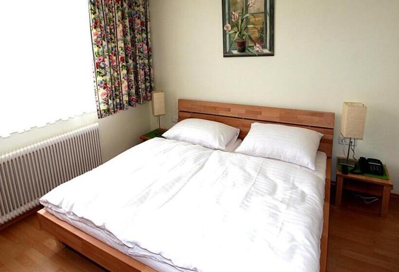 标准单人间, Pension Alte Mühle