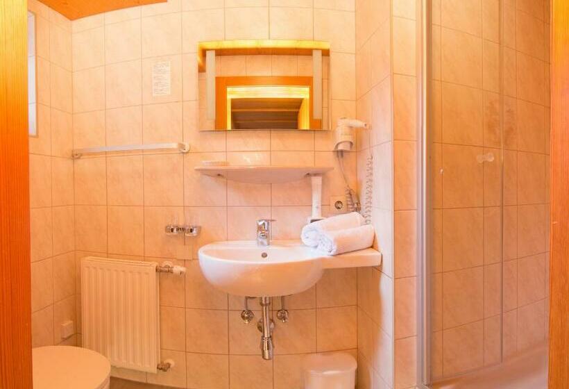 اتاق استاندارد یک نفره, Pension Tina