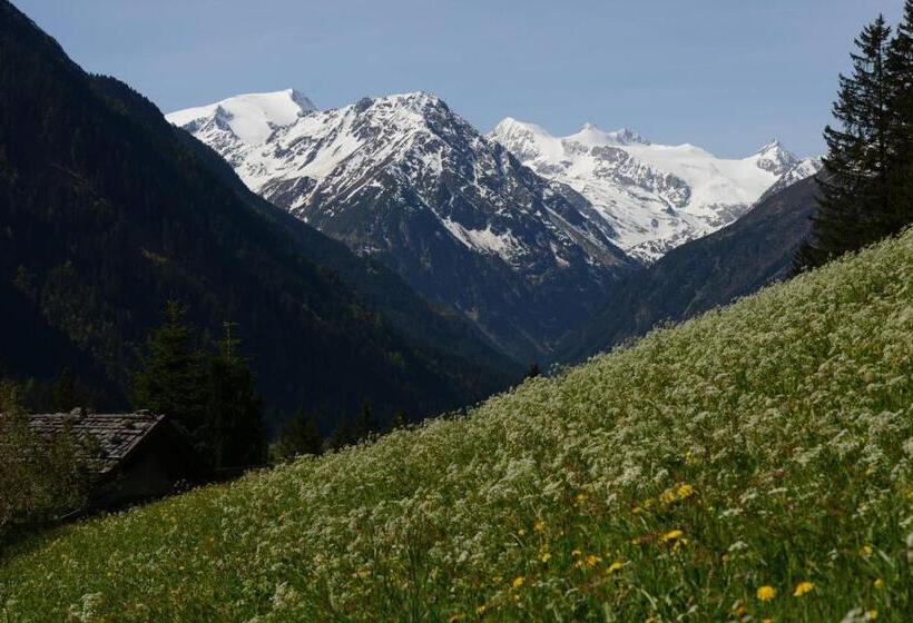 آپارتمان 2 خوابه, Pension Tina