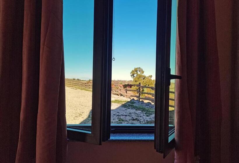 标准间, Cantina Visconti   Agriturismo