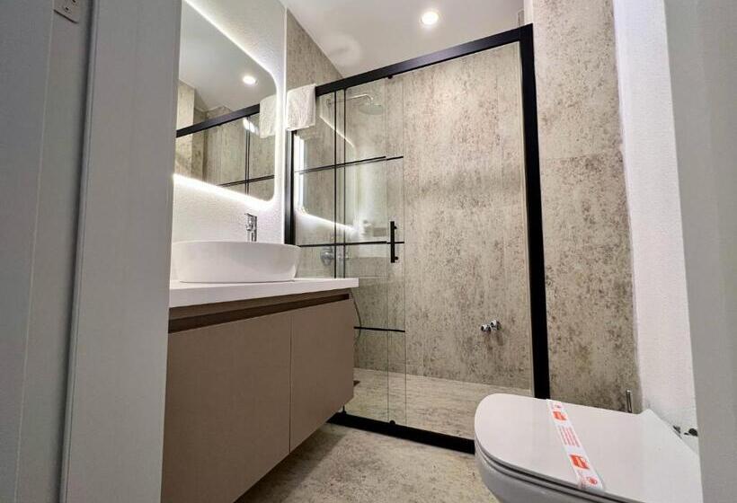 חדר סטנדרט, Coastline