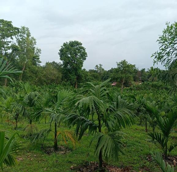 Pokój Rodzinny Widok Ogród, Finer Things Retreat