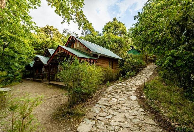 四人高级间, Mountain Quail Lodge