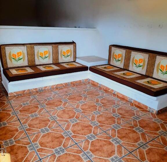 家庭间, Real Del Sur Morelos