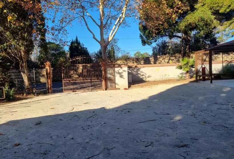 スタンダードルーム, Gite Fatima