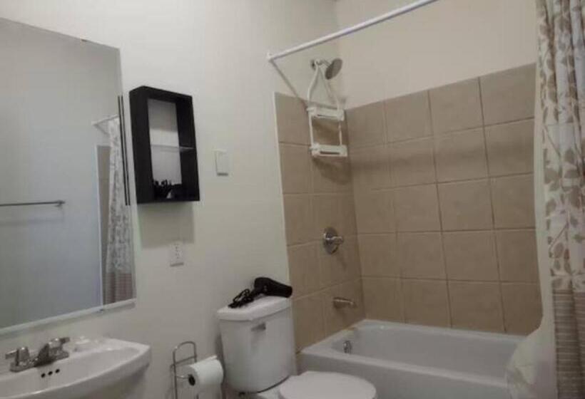 اتاق استاندارد با سرویس بهداشتی مشترک, Jelly Bean 1