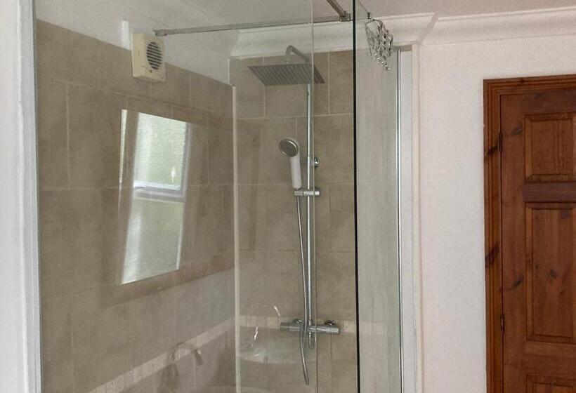 带大床的标准间, Luxury Guest House