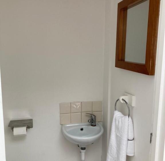 标准间, Luxury Guest House