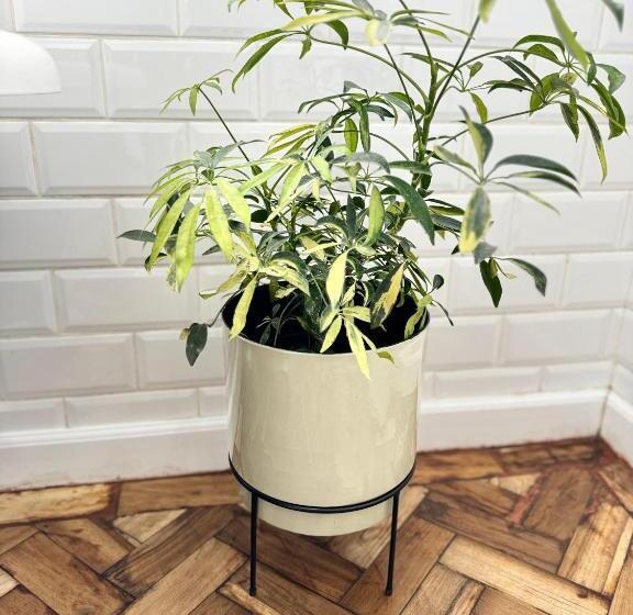 キングサイズベッドのエクゼクティブルーム, C Est La Vie Boutique