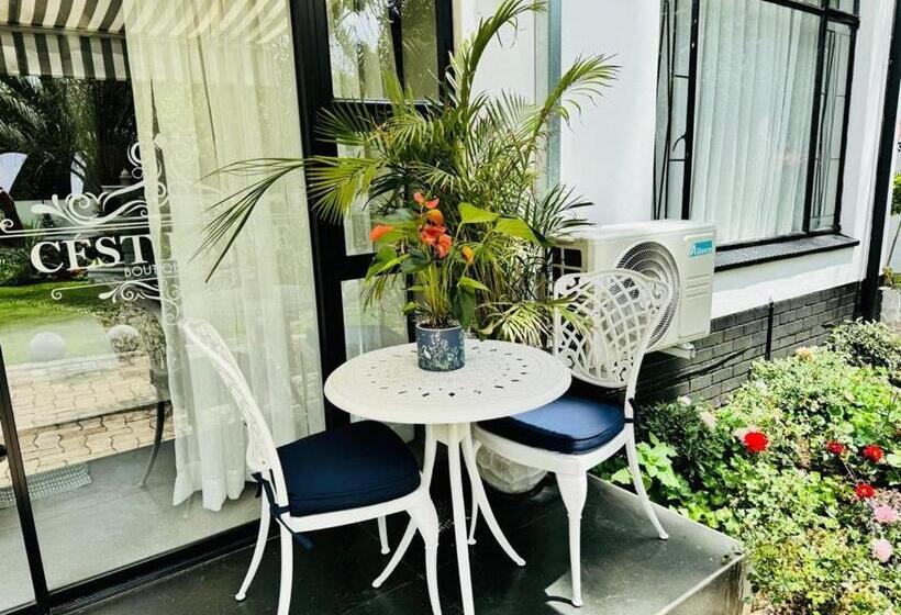 プレミアムルーム, C Est La Vie Boutique