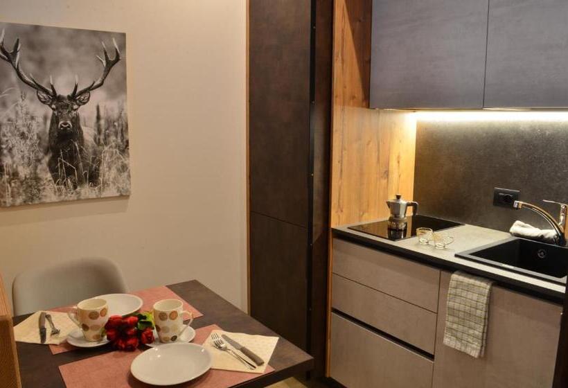 带阳台的豪华间, Aria Alpina Guest House Affittacamere