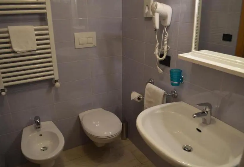 スタンダードシングルルーム, Aria Alpina Guest House Affittacamere