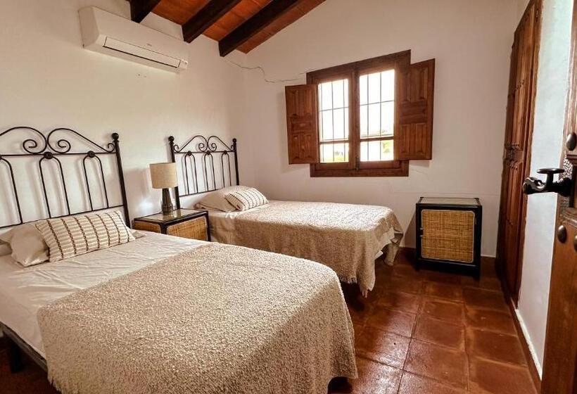 חדר סטנדרט חדר אמבטיה משותף, Casa Los Olivos