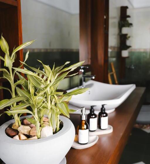 Номер Стандарт, Roots Retreat