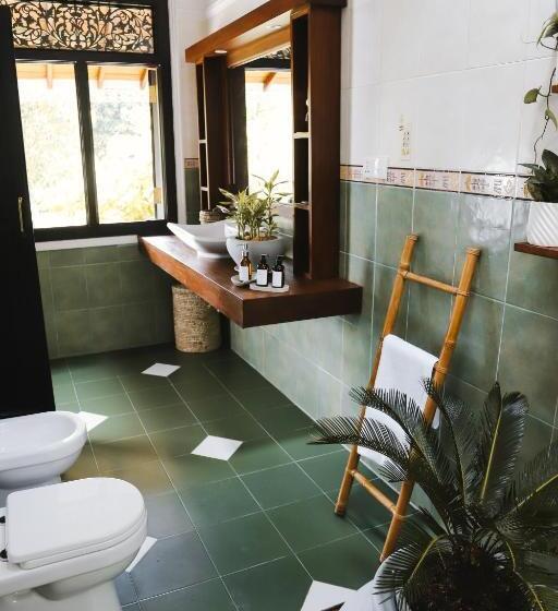 Номер Стандарт, Roots Retreat