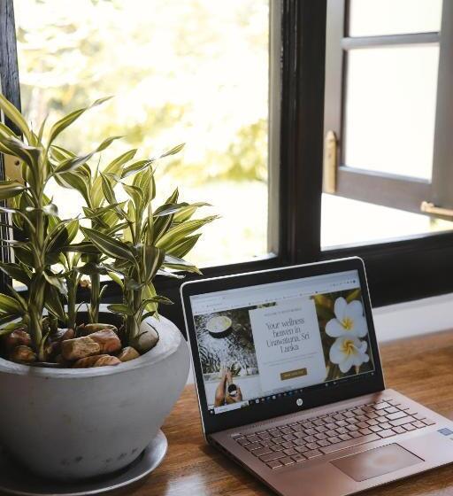 Номер Стандарт, Roots Retreat