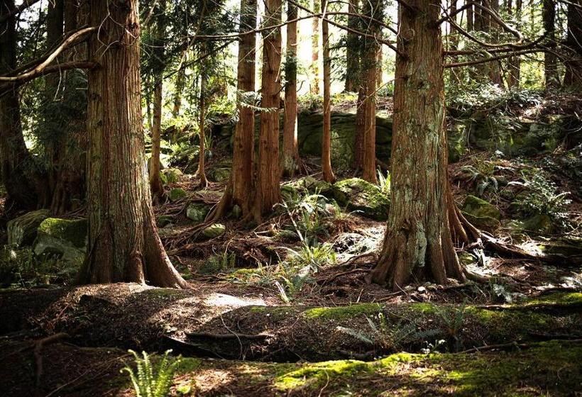 בקתה דלוקס, Page S Resort & Marina