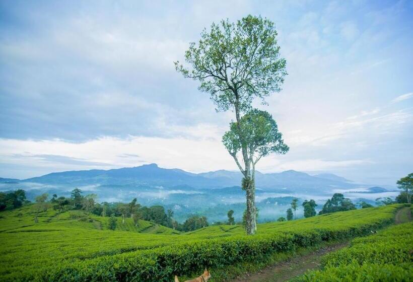 标准间带山景, Wild Courtyard Wayanad Resort