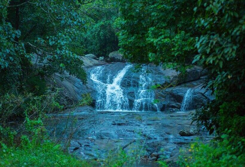 豪华房间, Wild Courtyard Wayanad Resort