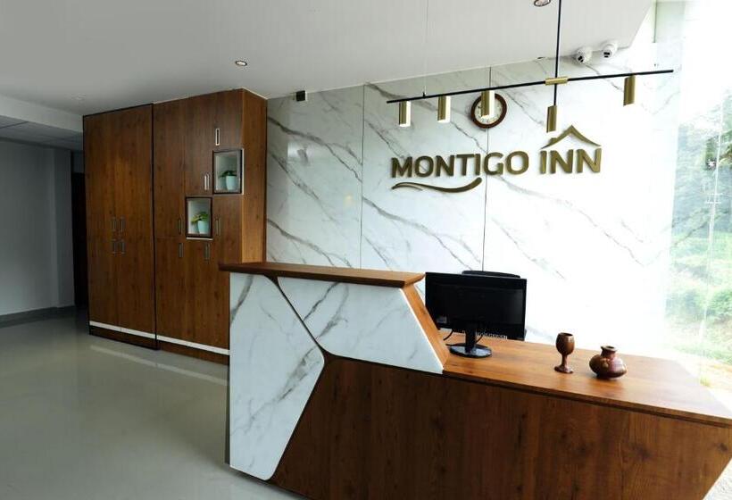 Номер Стандарт Вид на Горы, Montigo Inn