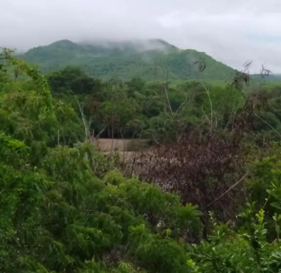 スタンダードシングルルーム, Guataqui Puerto Principal