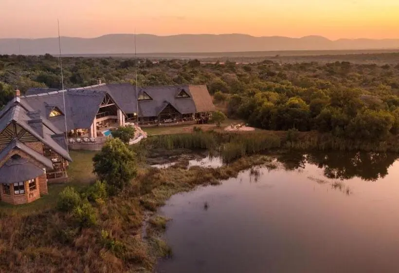 スーペリアー1ベッドルームビラ, Kingfisher Villa In Mabula Game Reserve