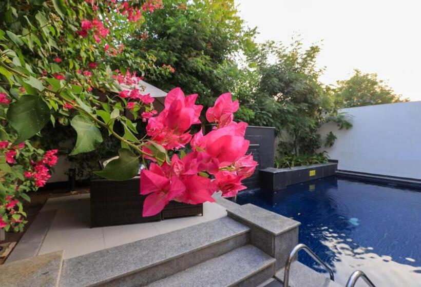 ویلای 4 خوابه, Nordic Resort