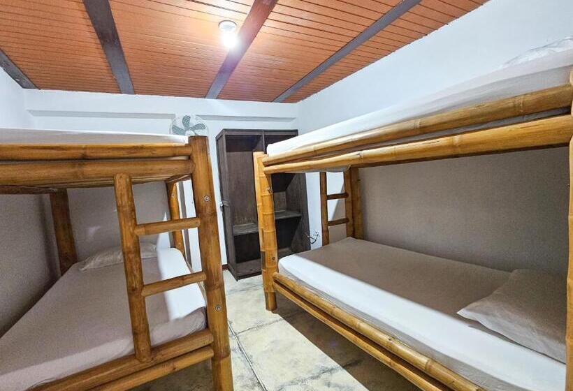 تختخواب در اتاق مشترک, La Mercedes Lite Hostal By Mh