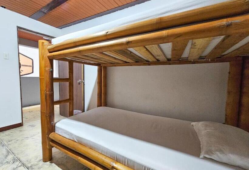 تختخواب در اتاق مشترک, La Mercedes Lite Hostal By Mh