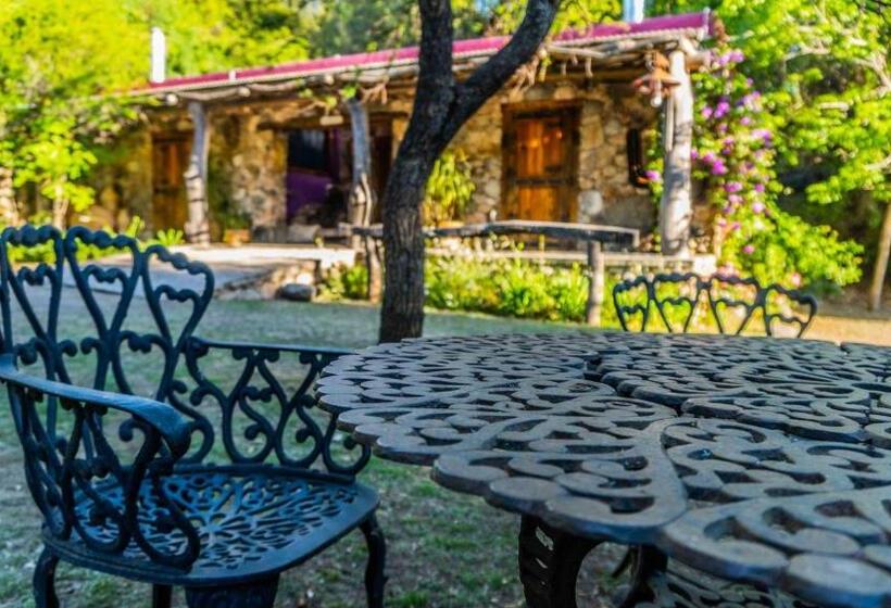 수피리어 룸, Araoz De Lamadrid Hotel&bodega