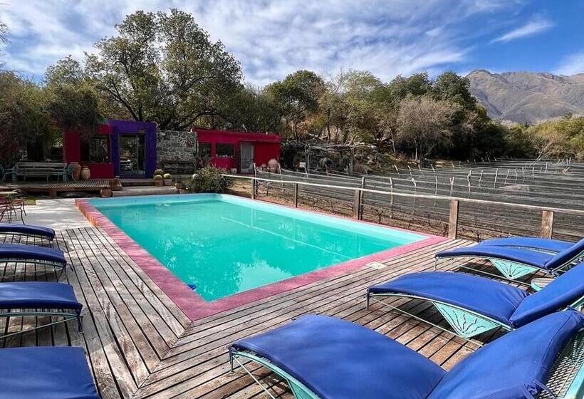 スーペリアールーム, Araoz De Lamadrid Hotel&bodega