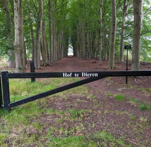 اتاق لوکس, Villa Benvenuto