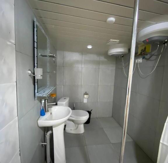 Economy Driepersoonskamer, Paronyan Hostel